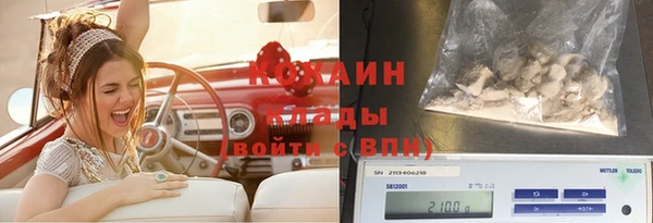 дживик Лагань