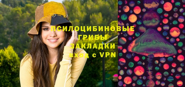 дживик Лагань