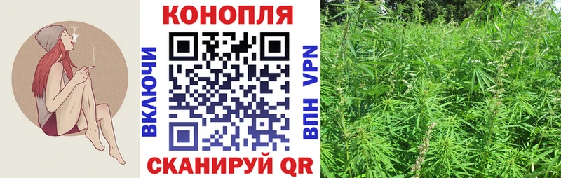 Купить где  Назрань  Марихуана Bruce Banner 